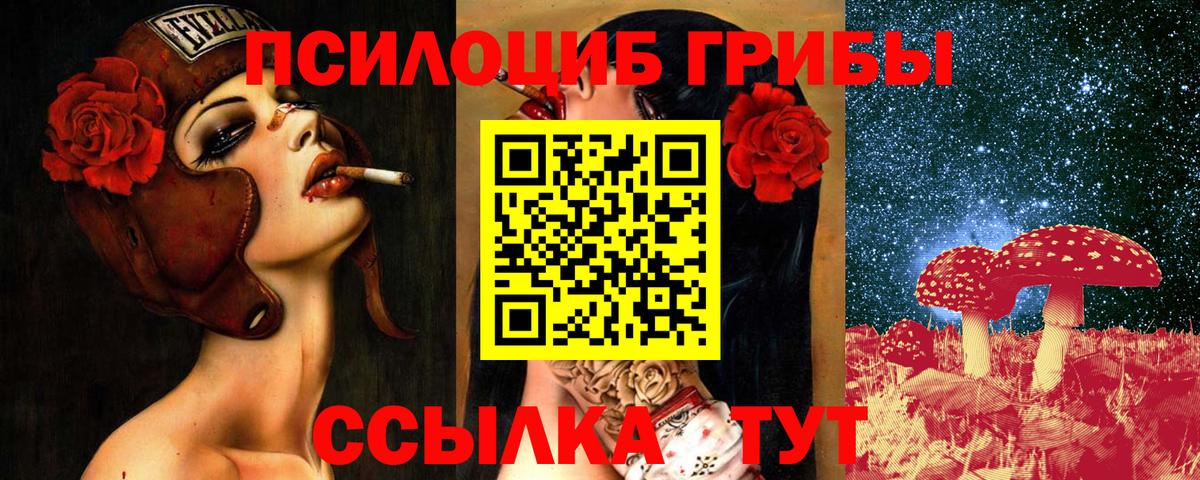 Псилоцибиновые грибы Psilocybine cubensis Мичуринск